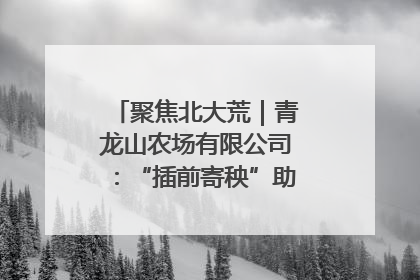 聚焦北大荒｜青龙山农场有限公司：“插前寄秧”助力农业节本增效