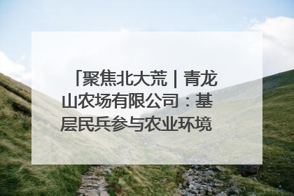 聚焦北大荒｜青龙山农场有限公司：基层民兵参与农业环境综合治理显效