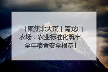 聚焦北大荒｜青龙山农场：农业标准化筑牢全年粮食安全根基