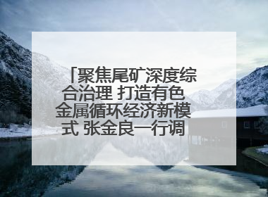聚焦尾矿深度综合治理 打造有色金属循环经济新模式 张金良一行调研栾川县尾矿库综合治理工作