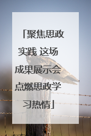 聚焦思政实践 这场成果展示会点燃思政学习热情
