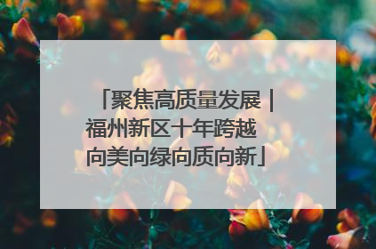 聚焦高质量发展｜福州新区十年跨越 向美向绿向质向新