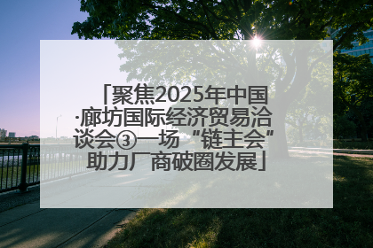 聚焦2025年中国·廊坊国际经济贸易洽谈会③一场“链主会” 助力厂商破圈发展