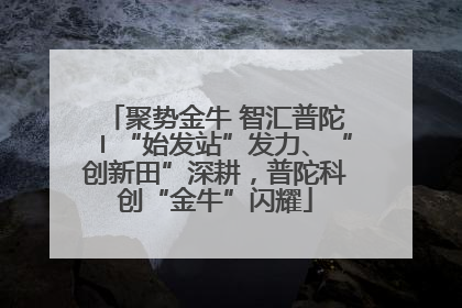聚势金牛 智汇普陀〡“始发站”发力、“创新田”深耕，普陀科创“金牛”闪耀