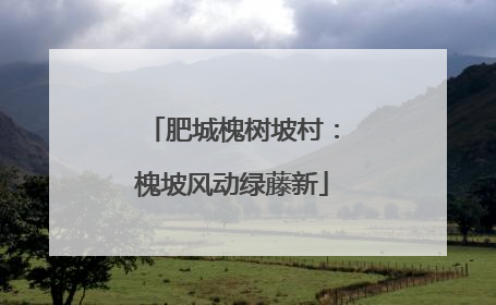 肥城槐树坡村：槐坡风动绿藤新