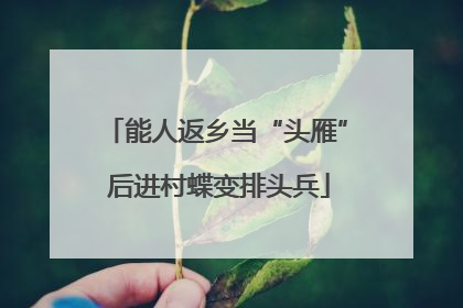 能人返乡当“头雁” 后进村蝶变排头兵