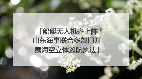 船艇无人机齐上阵！山东海事联合多部门开展海空立体巡航执法