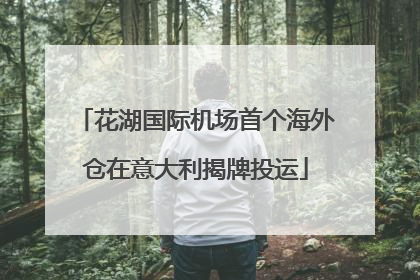 花湖国际机场首个海外仓在意大利揭牌投运