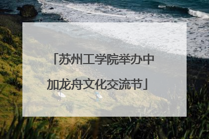 苏州工学院举办中加龙舟文化交流节