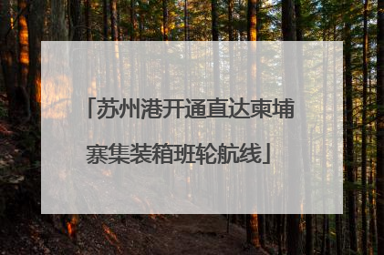 苏州港开通直达柬埔寨集装箱班轮航线