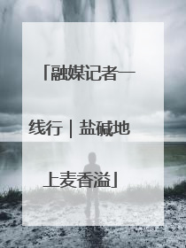 融媒记者一线行｜盐碱地上麦香溢