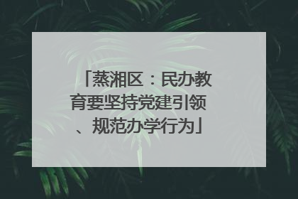 蒸湘区：民办教育要坚持党建引领、规范办学行为