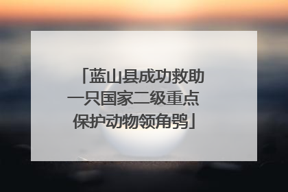蓝山县成功救助一只国家二级重点保护动物领角鸮