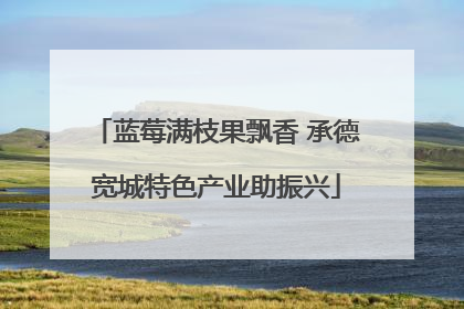 蓝莓满枝果飘香 承德宽城特色产业助振兴