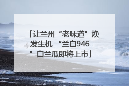 让兰州“老味道”焕发生机 “兰白946”白兰瓜即将上市