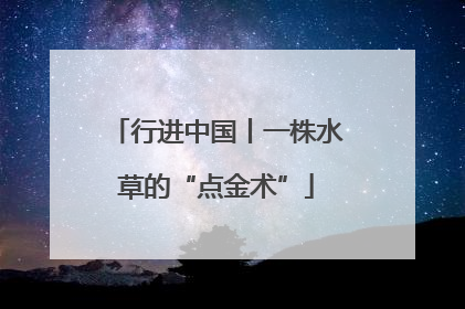 行进中国丨一株水草的“点金术”