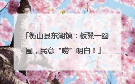 衡山县东湖镇：板凳一圈围，民意“唠”明白！