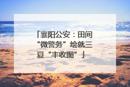 襄阳公安：田间“微警务”绘就三夏“丰收图”