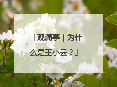 观澜亭｜为什么是王小云？