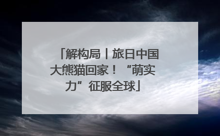 解构局丨旅日中国大熊猫回家！“萌实力”征服全球