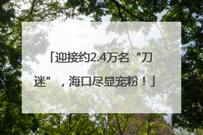 迎接约2.4万名“刀迷”，海口尽显宠粉！