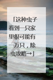 这种虫子看到一只家里很可能有一万只，除虫攻略→