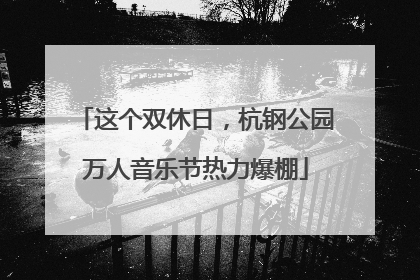 这个双休日，杭钢公园万人音乐节热力爆棚