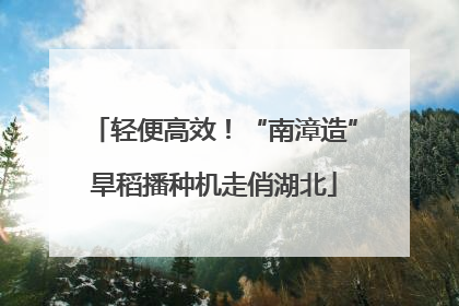 轻便高效！“南漳造”旱稻播种机走俏湖北