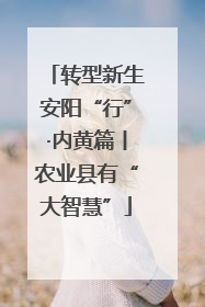 转型新生安阳“行”·内黄篇丨农业县有“大智慧”
