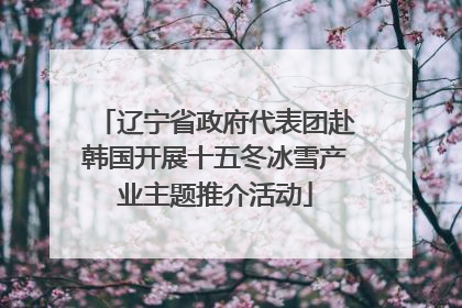 辽宁省政府代表团赴韩国开展十五冬冰雪产业主题推介活动