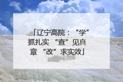 辽宁高院：“学”抓扎实 “查”见真章 “改”求实效