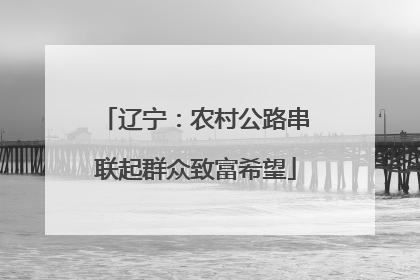 辽宁：农村公路串联起群众致富希望