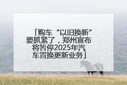 购车“以旧换新”要抓紧了，郑州宣布将暂停2025年汽车置换更新业务