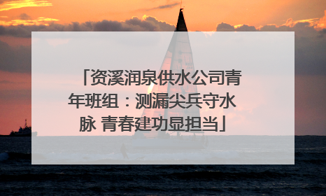 资溪润泉供水公司青年班组：测漏尖兵守水脉 青春建功显担当