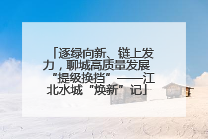 逐绿向新、链上发力，聊城高质量发展“提级换挡”——江北水城“焕新”记