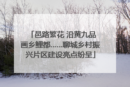 邑路繁花 沿黄九品 画乡鲤都……聊城乡村振兴片区建设亮点纷呈