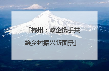 郴州：政企携手共绘乡村振兴新图景
