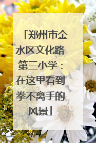 郑州市金水区文化路第三小学：在这里看到拳不离手的风景