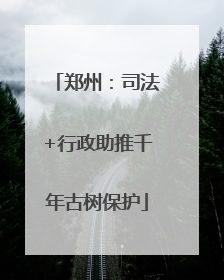 郑州：司法+行政助推千年古树保护