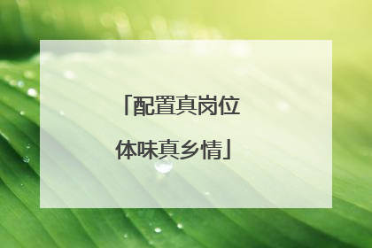 配置真岗位 体味真乡情