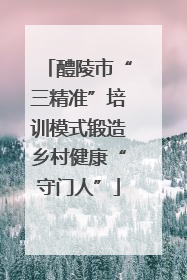 醴陵市“三精准”培训模式锻造乡村健康“守门人”