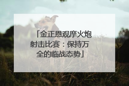 金正恩观摩火炮射击比赛：保持万全的临战态势