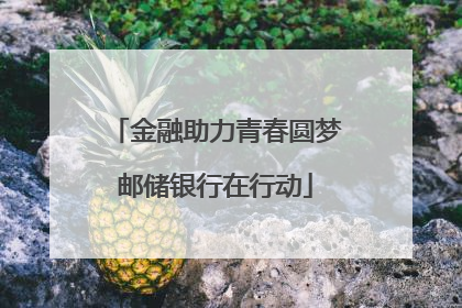 金融助力青春圆梦邮储银行在行动