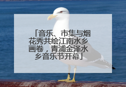 音乐、市集与烟花秀共绘江南水乡画卷，青浦金泽水乡音乐节开幕