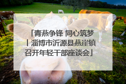 青燕争锋 同心筑梦丨淄博市沂源县燕崖镇召开年轻干部座谈会