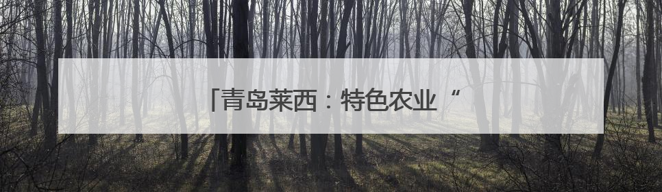 青岛莱西：特色农业“链”动乡村振兴新图景