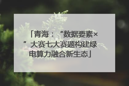 青海：“数据要素×”大赛七大赛题构建绿电算力融合新生态