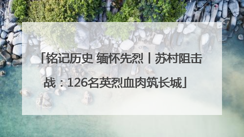 铭记历史 缅怀先烈丨苏村阻击战：126名英烈血肉筑长城