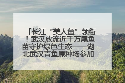 长江“美人鱼”领衔！武汉放流近千万尾鱼苗守护绿色生态——湖北武汉青鱼原种场参加2025年“全国放鱼日”增殖放流活动