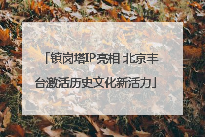 镇岗塔IP亮相 北京丰台激活历史文化新活力